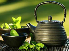 绿茶A2